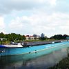 mswissenschaft