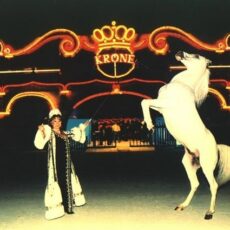 Erstmals seit über 30 Jahren: Circus Krone kommt nach Wiesbaden