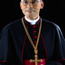Bischof traut sich heute nicht nach Wiesbaden – Tebartz-van Elst sagt Buchvorstellung ab