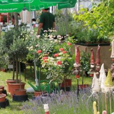 Sympathische Messe holt „bio“ in den Hausgarten zurück – Saisonauftakt am Wochenende am Schlosshotel Rettershof