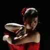 KalPerl_Flamenco_Vivo_Show