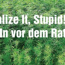 Bundesweit erster „Cannabis Social Club“ in Wiesbaden? Antrag im Stadtparlament, Kiff-In vor dem Rathaus