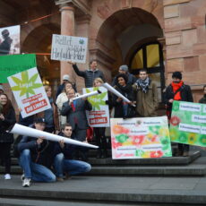 Kiff-Koalition im Wiesbadener Rathaus: Linke/Piraten, Grüne, FDP für Cannabis-Legalisierung – „SPD am Zug“