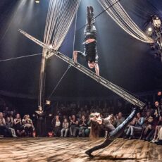 Cirque Bouffon kehrt gewohnt fantastisch zurück: „Lunatique“-Premiere am 9. Mai im Kulturpark