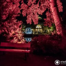 Der Kurpark im spektakulär faszinierenden neuen Licht – „Lichtspiele Wiesbaden“ starten heute