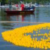 pak-LC-Entenrennen09Juli2017-062 Enten im Wasser DLRG Boot quadratisch