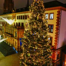 Es ist vollbracht! Wiesbadener Weihnachtsbaum ist bereit zum Verzaubern – Festliche Atmosphäre trotz(t) Absagen