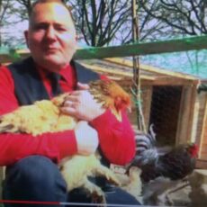 Weil nach der Kultur kein Hahn mehr kräht: thalhaus startet Hühnerfarm im Nerotal – Auch Lachszucht geplant