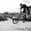 Wildschnitt  Photograhy Film