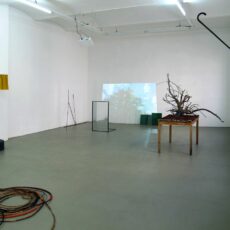 Heute „Future Perfect“-Gespräch mit Sofi Zezmer in der Galerie Hafemann, Preview in der Walkmühle