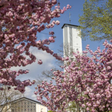 Evangelische Kreuzkirche mit osterlichem
